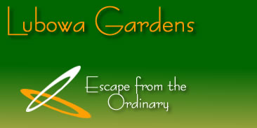 Lubowa Gardens on sell by HICGI41